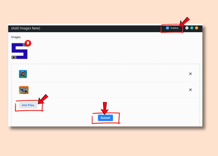 a screenshot how to upload images for lifetags QR Codes